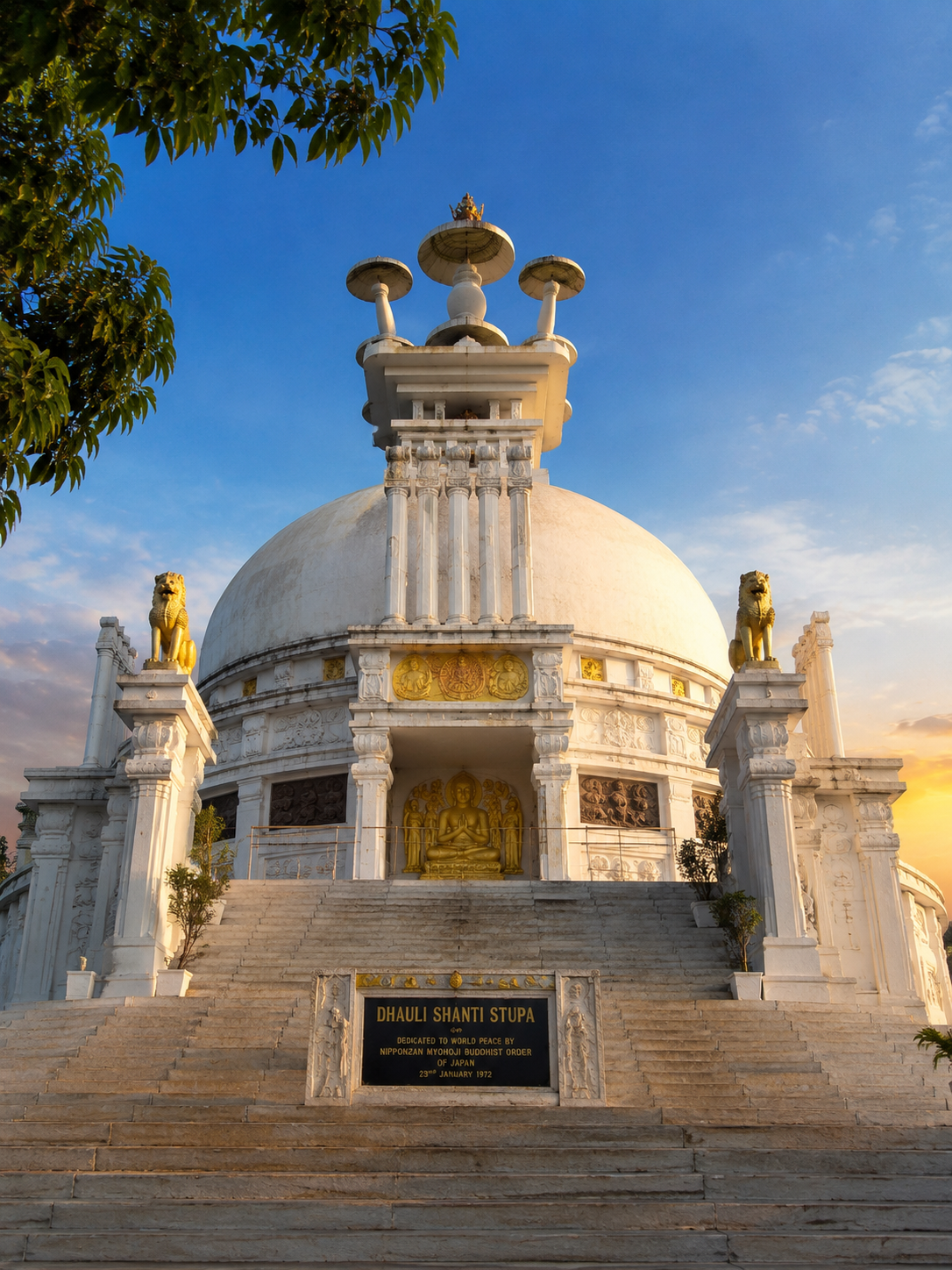 dhauli